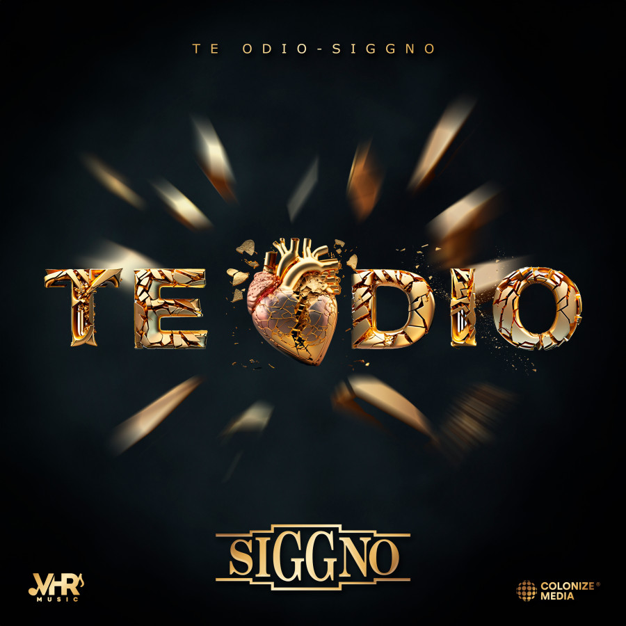 Te Odio artwork