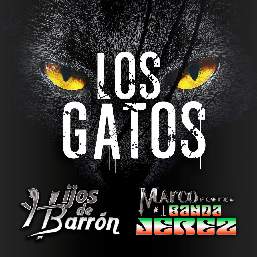 Los Gatos artwork